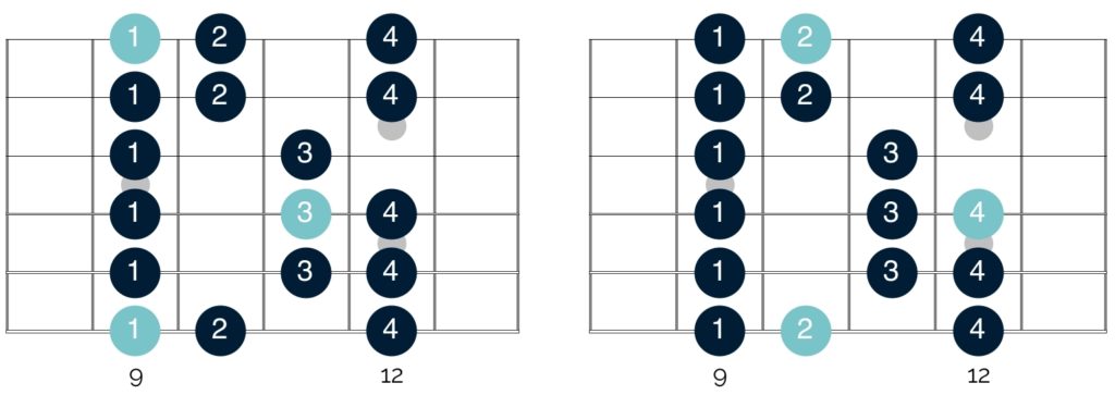 Both the Lydian and Phrygian modes have the same shapes on your guitar